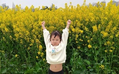 靠比较软件短视频软件大全榴莲